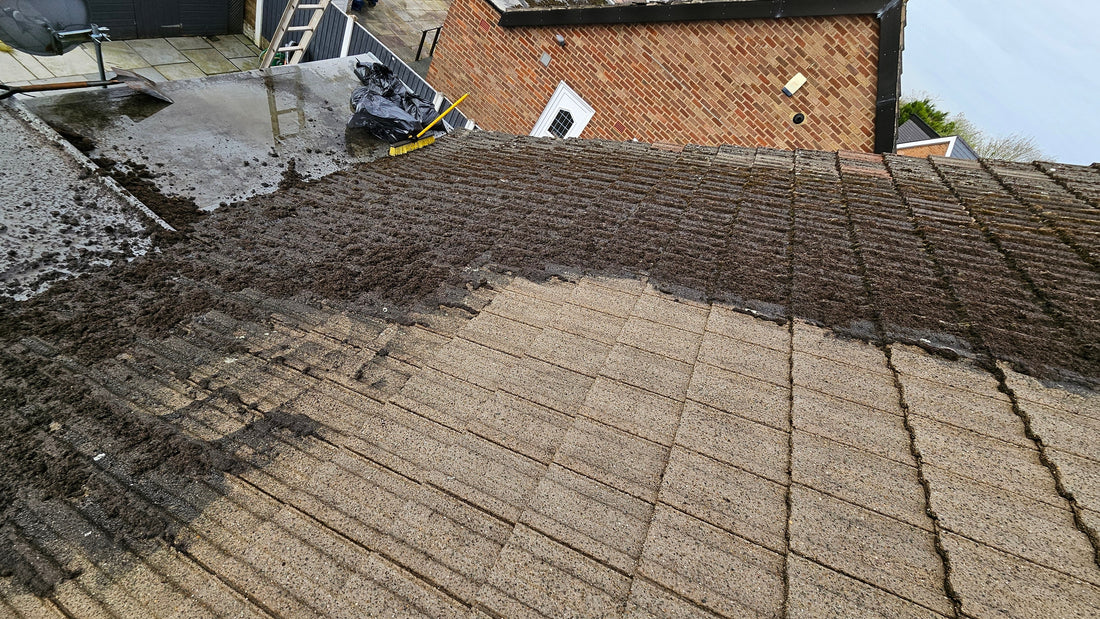 Roof Cleaning in Scranton & Wilkes-Barre: Why It Matters More Than You Think
